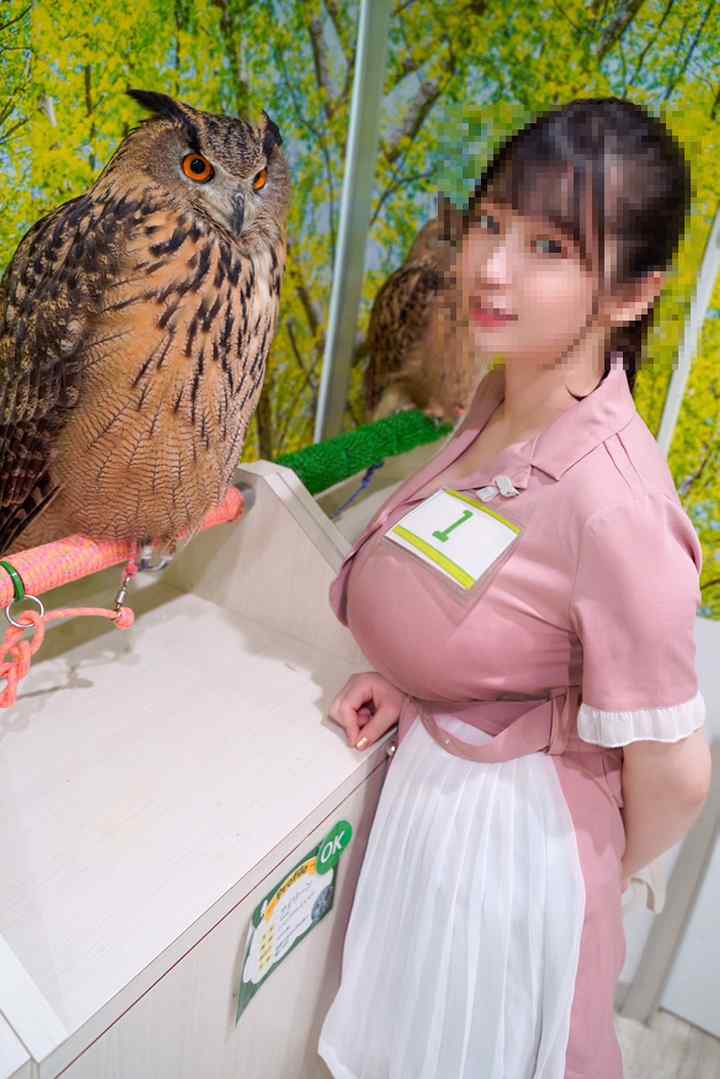【おすすめディープフェイク】芸能人に似てるAV女優を超えたガチ似AV作品まとめ【完全版】 似てるAV女優 激似AV女優 そっくりAV女優 似ているAV女優 似てるセクシー女優 激似セクシー女優 そっくりセクシー女優 似ているセクシー女優 ディープフェイク  流出 DVD エロ動画 濡れ場 ハメ撮り グラビア 巨乳 エロ画像 
