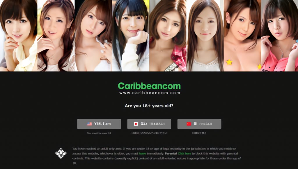 おすすめの国内、海外エロ動画サイトをまとめてみた！FANZAみたいなエロ動画サイト一覧 似てるAV女優 激似AV女優 そっくりAV女優 似ているAV女優 似てるセクシー女優 激似セクシー女優 そっくりセクシー女優 似ているセクシー女優 ディープフェイク  流出 DVD エロ動画 濡れ場 ハメ撮り グラビア 巨乳 エロ画像 